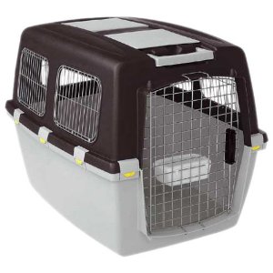 Hundetransportbox Shop grosse Auswahl gute Kundenbewertungen 51gPIti2gjL. SL500 AA300 Gulliver 6 Hundetransportbox Shop grosse Auswahl gute Kundenbewertungen
